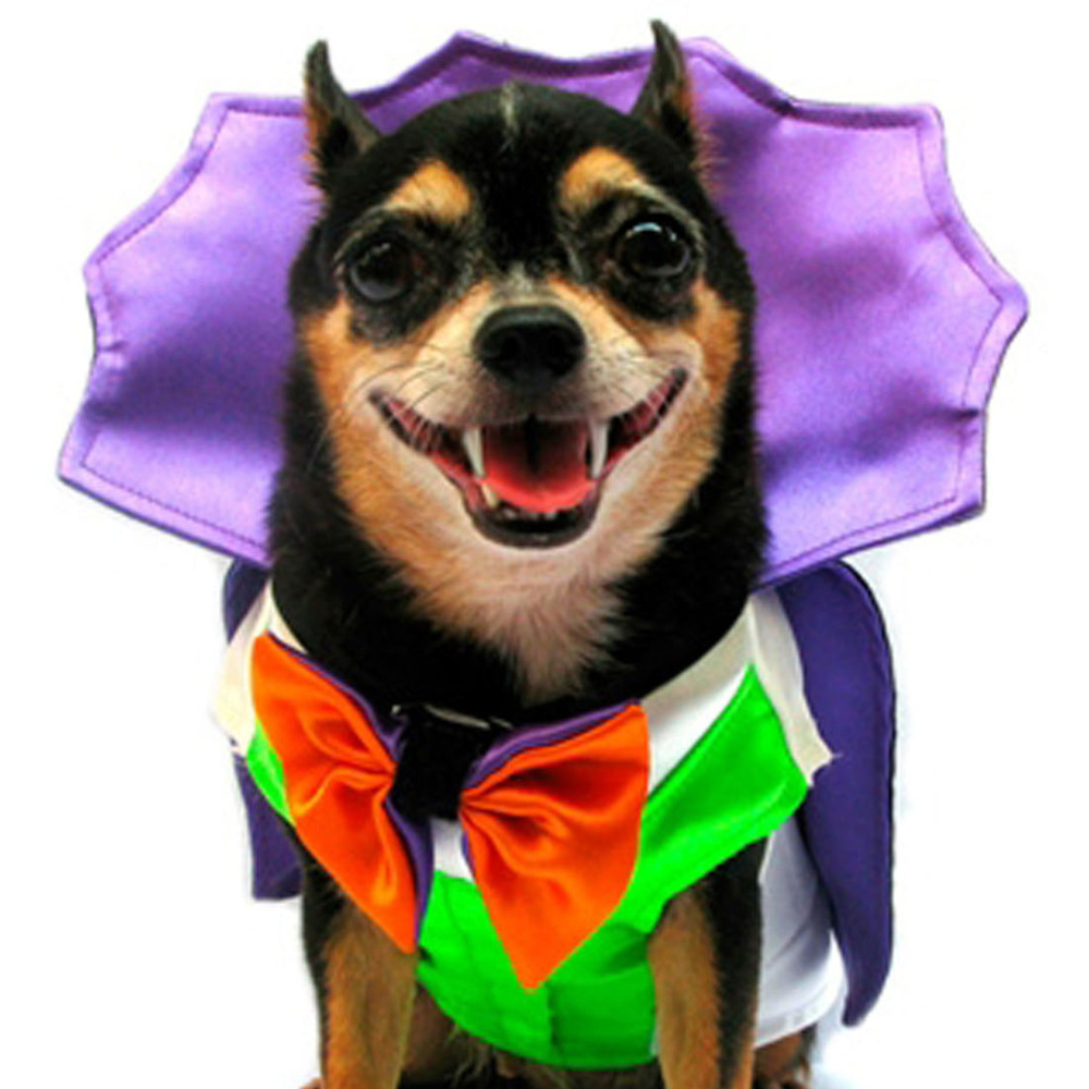 Dracula Halloween Costume For Dogs Size 6